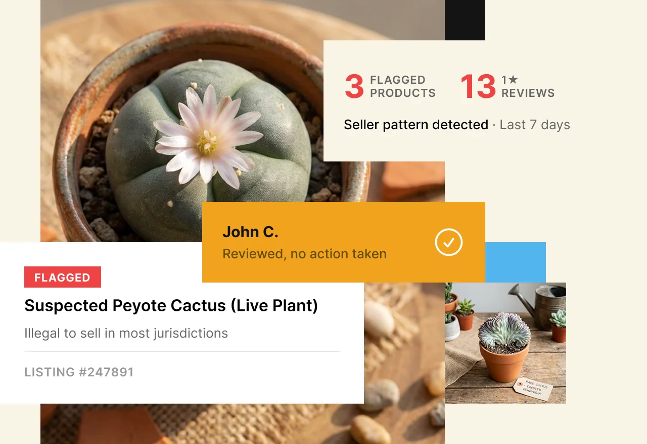 Audit trail dashboard showing logged actions and investigation history